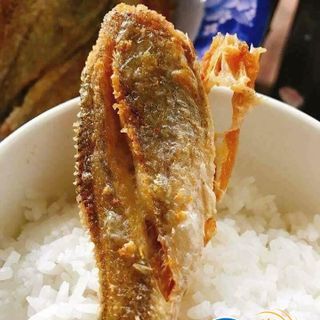 Cá Đù 1 Nắng