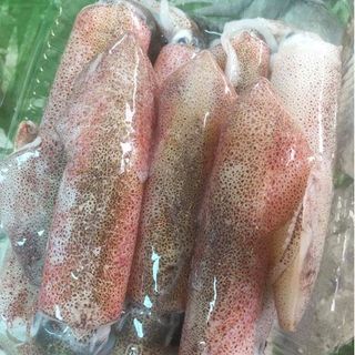 MỰC ỐNG 20-24CON/1KG