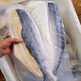 Cá Dứa 1 Nắng