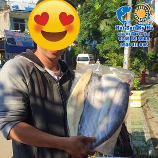 Cá Dứa 1 Nắng