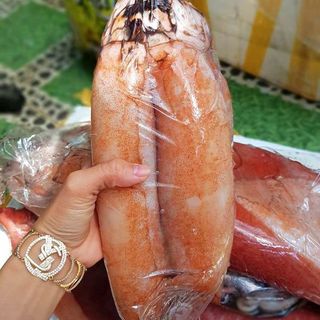 Mực Lá Đại Dương