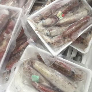MỰC TRỨNG