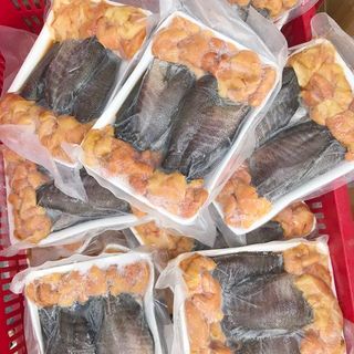 Cá Sặc Trứng 1 Nắng