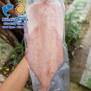 Mực 1 Nắng
