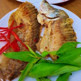 Cá Thát Lát Rút Xương