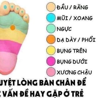 bách nhi tán cho cả gia đình
