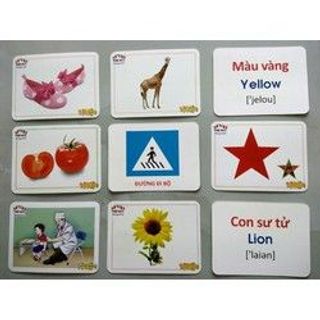 BỘ THẺ HỌC THÔNG MINH GLENN DOMAN LOẠI TO14 CHỦ ĐỀ