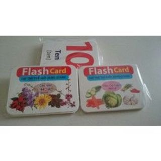 BỘ THẺ HỌC THÔNG MINH GLENN DOMAN LOẠI TO14 CHỦ ĐỀ