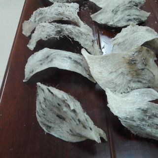 Tổ yến thô nguyên chất mới thu hoạch - chưa qua sơ chế