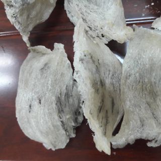 Tổ yến thô nguyên chất mới thu hoạch - chưa qua sơ chế
