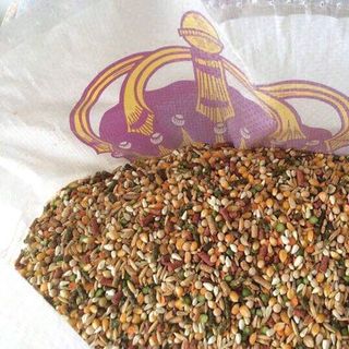 thức ăn gà đá Mỹ