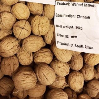 Hạt óc chó Harley Mỹ giá sĩ tốt nhất