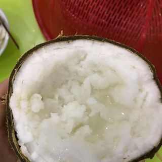Dừa Sáp Đặc Sản Trà Vinh