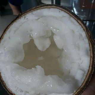 Dừa Sáp Đặc Sản Trà Vinh