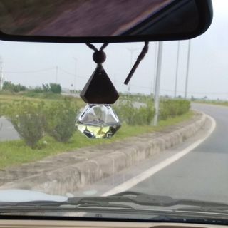 TINH DẦU TREO PAVIE