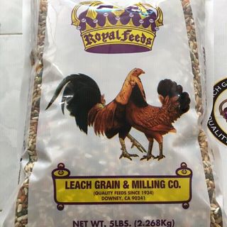 thức ăn gà đá Mỹ USA