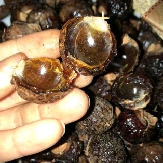 Quả bồ hòn chưa tách hạt