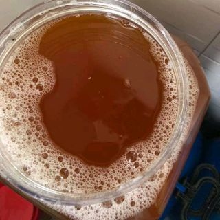 Quả bồ hòn chưa tách hạt