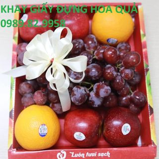 KHAY GIẤY ĐỰNG HOA QUẢ ĐỰNG TRÁI CÂY giá sỉ