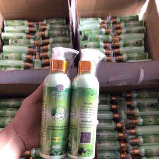 Kích trắng trà xanh