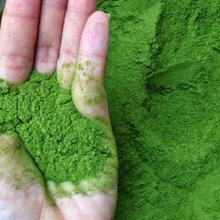 Bột trà xanh Matcha Tea nguyên chất 100 Nhật Bản