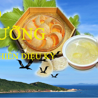 YẾN TINH CHẾ MUA VỀ CHƯNG ĂN LIỀN