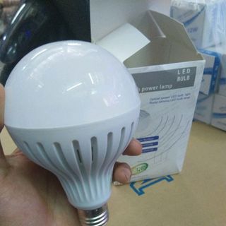 Bóng cảm ứng người 12 w giá sỉ