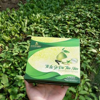 Túi Lọc Gội Đầu Reel Beauty Organic cải tiến