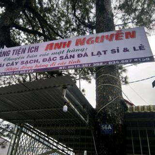 Khoai lang mật