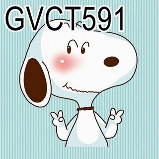 Áo Thun nữ Form rộng vải dày mềm min thoáng mát in hình chó SNOOPY - ATN12