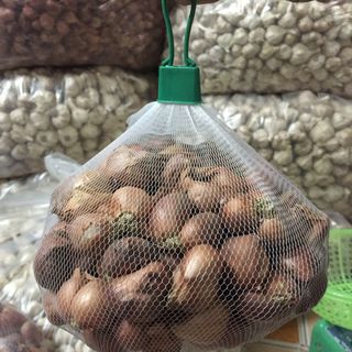 Hành tỏi khô