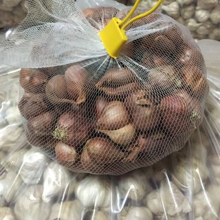 Hành tỏi khô