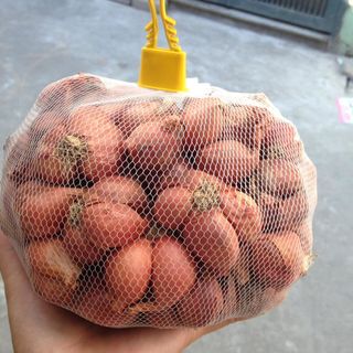 Hành khô Kinh Môn Hải Dương