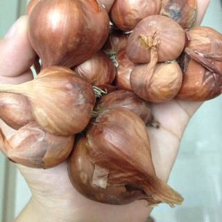 Hành khô Kinh Môn Hải Dương