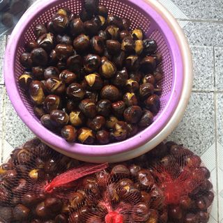hạt dẻ cao bằng