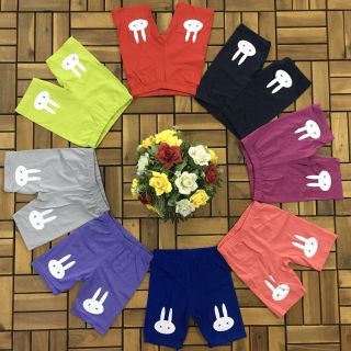 Quần thun bé gái in hình thỏ