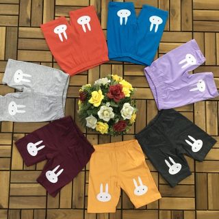 Quần thun bé gái in hình thỏ