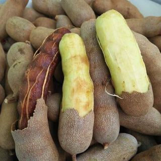 me thai ngot Me Thái Dốt Bột