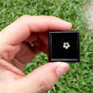 Gu phụ kiện thời trang bởi đá dán răng