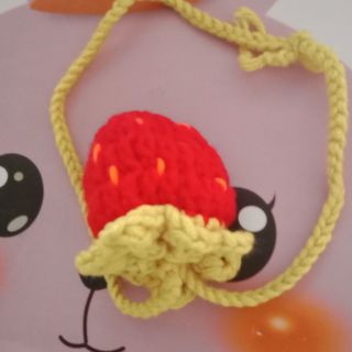 Túi đựng tỏi trừ tà ma
