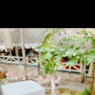 u tham moi thom mong
