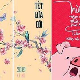 Bao lì xì giá rẻ 201