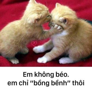 Giảm Cân Golean