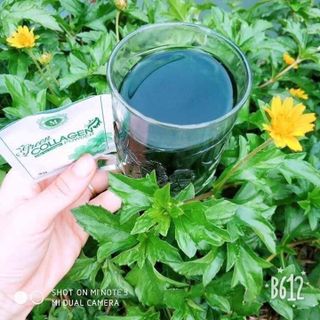 Diệp Lục Collagen