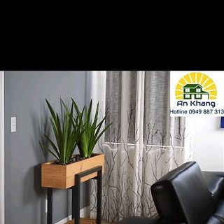 Kệ Hộp Gỗ Trồng Cây