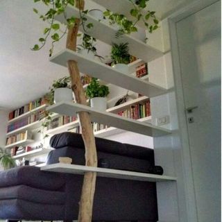 Kệ để cây ngăn không gian