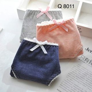 Quần lót cottn ren 8011