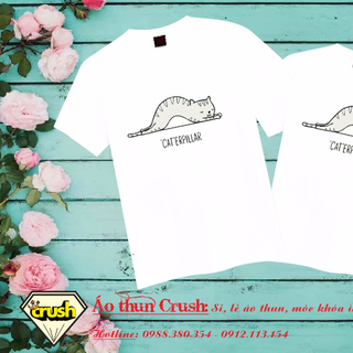 ÁO THUN IN HÌNH THEO YÊU CẦU - ATIH10