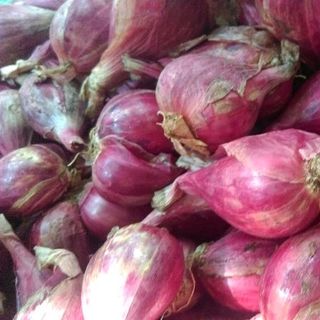 Hành tím tỏi Lý Sơn