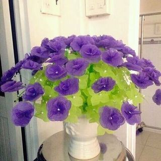 hoa giây lụa thanh phẩm